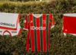 Zulte Waregem thuisshirt 2026-2027